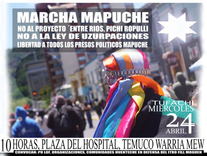 mapuche, temuco, marcha